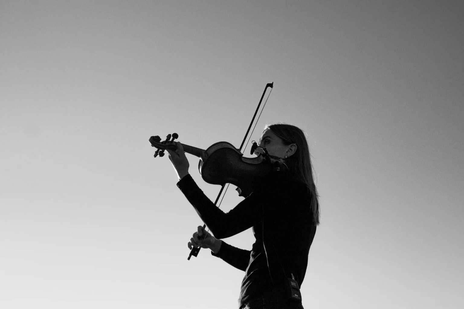 sur la page de violon.com